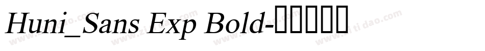 Huni_Sans Exp Bold字体转换